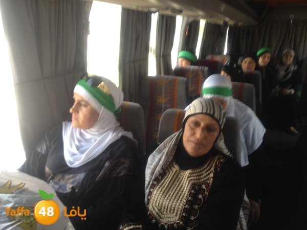 3omranludnnw (36).JPG